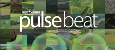 Pulse Beat 100 – Fall 2024 cover